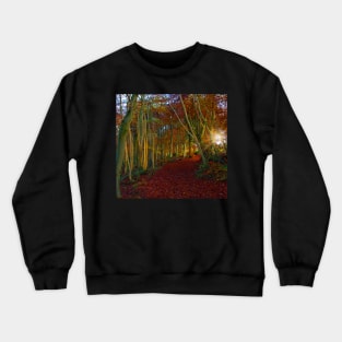 Sunrise, Westridge Woods on the Cotswold Way Crewneck Sweatshirt